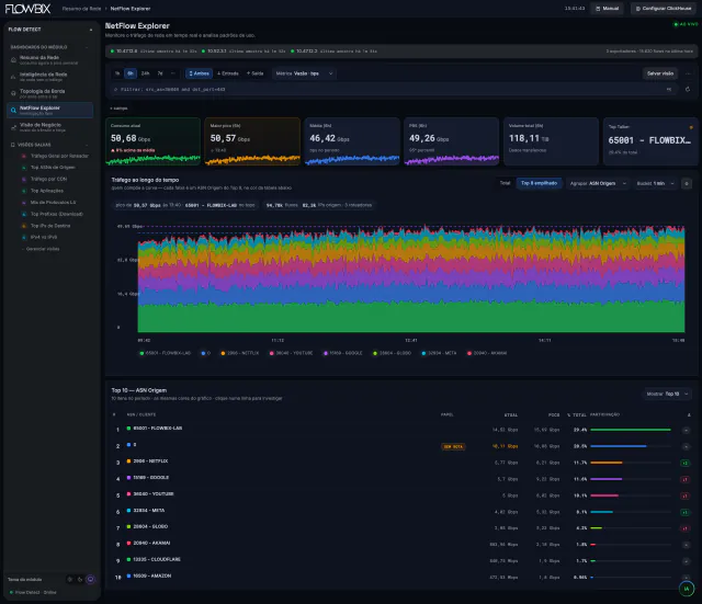 NetFlow Explorer